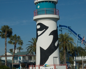 SeaWorld-262