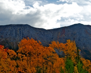 Fall-Foliage-along-the-Alaska-Hwy-_7_