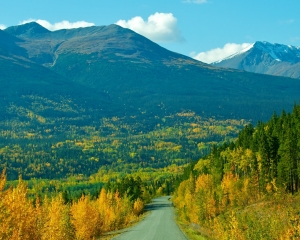 Fall-Foliage-along-the-Cassiar-Hwy-_1_