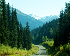 Fall-Foliage-along-the-Cassiar-Hwy