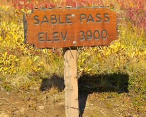 sign-with-nails-to-protect-it-from-the-bears