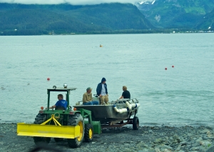 Boats-are-hauled-out-by-tractors