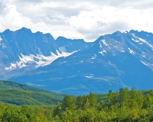 Chygach-National-Forest