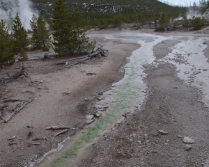 Norris Geyser Basin