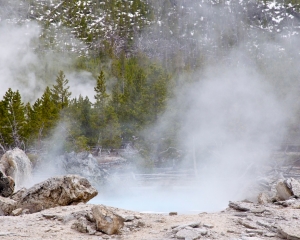 Pork Chop Geyser