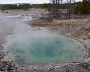 Norris Geyser Basin