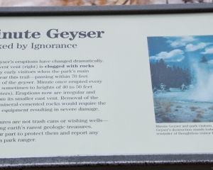 Minute Geyser