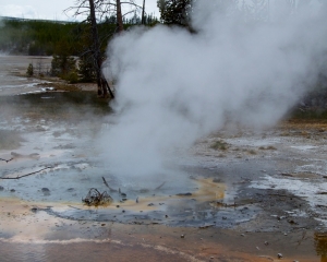 Minute Geyser