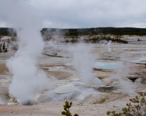 Norris Geyser Basin