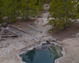 Norris Geyser Basin