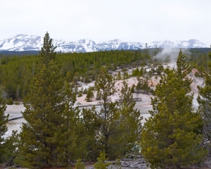 Norris Geyser Basin